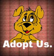 Scroll down to view our catalog of puppies that need homes.