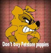 Welcome, here you can learn why not to buy from petstores.